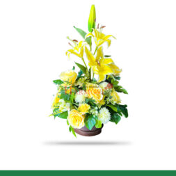 papanbunga standard product